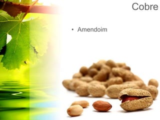 Cobre
• Amendoim
 