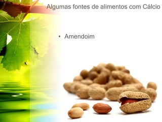 Algumas fontes de alimentos com Cálcio
• Amendoim
 