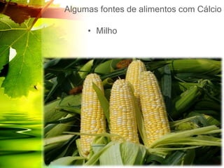 Algumas fontes de alimentos com Cálcio
• Milho
 