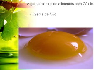 Algumas fontes de alimentos com Cálcio
• Gema de Ovo
 