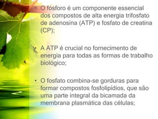 • O fósforo é um componente essencial
dos compostos de alta energia trifosfato
de adenosina (ATP) e fosfato de creatina
(CP);
• A ATP é crucial no fornecimento de
energia para todas as formas de trabalho
biológico;
• O fosfato combina-se gorduras para
formar compostos fosfolipídios, que são
uma parte integral da bicamada da
membrana plasmática das células;
 