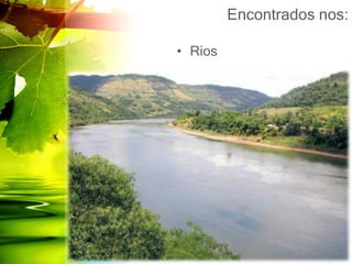 Encontrados nos:
• Rios
 