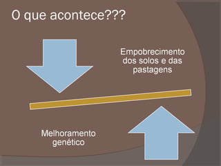 O que acontece???

 
