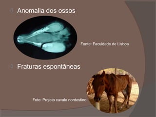 

Anomalia dos ossos

Fonte: Faculdade de Lisboa



Fraturas espontâneas

Foto: Projeto cavalo nordestino

 