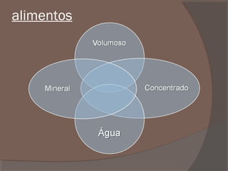 alimentos

 