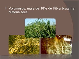 

Volumosos: mais de 18% de Fibra bruta na
Matéria seca

 