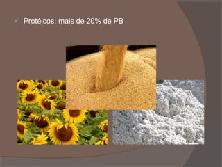 

Protéicos: mais de 20% de PB

 