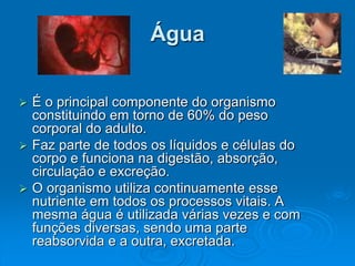 Água
 É o principal componente do organismo
constituindo em torno de 60% do peso
corporal do adulto.
 Faz parte de todos os líquidos e células do
corpo e funciona na digestão, absorção,
circulação e excreção.
 O organismo utiliza continuamente esse
nutriente em todos os processos vitais. A
mesma água é utilizada várias vezes e com
funções diversas, sendo uma parte
reabsorvida e a outra, excretada.
 