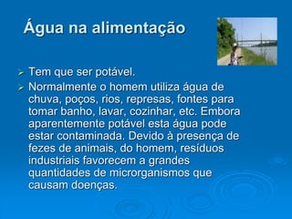 Água na alimentação
 Tem que ser potável.
 Normalmente o homem utiliza água de
chuva, poços, rios, represas, fontes para
tomar banho, lavar, cozinhar, etc. Embora
aparentemente potável esta água pode
estar contaminada. Devido à presença de
fezes de animais, do homem, resíduos
industriais favorecem a grandes
quantidades de microrganismos que
causam doenças.
 