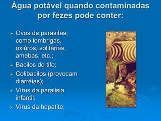 Água potável quando contaminadas
por fezes pode conter:
 Ovos de parasitas;
como lombrigas,
oxiúros, solitárias,
amebas, etc.;
 Bacilos do tifo;
 Colibacilos (provocam
diarréias);
 Vírus da paralisia
infantil;
 Vírus da hepatite;
 