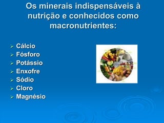 Os minerais indispensáveis à
nutrição e conhecidos como
macronutrientes:
 Cálcio
 Fósforo
 Potássio
 Enxofre
 Sódio
 Cloro
 Magnésio
 