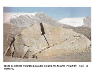 Bloco de gnaisse fraturado pela ação do gelo nas fissuras (Antartida) . Foto: M.
Hambrey

 