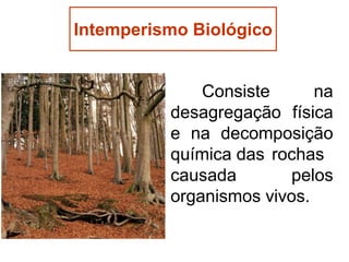 Intemperismo Biológico

Consiste
na
desagregação física
e na decomposição
química das rochas
causada
pelos
organismos vivos.

 
