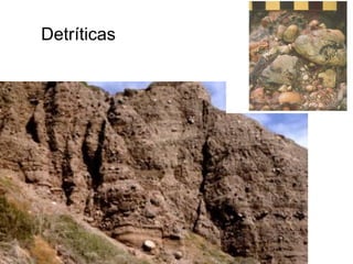 Detríticas

 