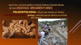 22
MUITAS ASSOCIAÇÕES FOSSILÍFERAS ENCONTRAM-
SE NAS ROCHAS SEDIMENTARES
PALEONTOLOGIA: ciência que estuda os fósseis
PALEONTÓLOGO: geólogo cientista que se dedica ao estudo
dos fósseis
 