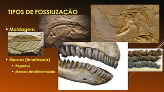 TIPOS DE FOSSILIZAÇÃO
Moldagem
 Marcas (icnofósseis)
 Pegadas
 Marcas de alimentação
 