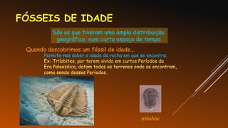 FÓSSEIS DE IDADE
São os que tiveram uma ampla distribuição
geográfica num curto espaço de tempo.
Quando descobrimos um fóssil de idade...
Permite-nos saber a idade da rocha em que se encontra.
Ex: Trilobites, por terem vivido em curtos Períodos da
Era Paleozóica, datam todos os terrenos onde se encontram,
como sendo desses Períodos.
trilobite
 