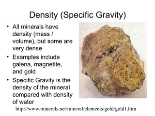 Density (Specific Gravity)
• All minerals have
  density (mass /
  volume), but some are
  very dense
• Examples include
  galena, magnetite,
  and gold
• Specific Gravity is the
  density of the mineral
  compared with density
  of water
   http://www.minerals.net/mineral/elements/gold/gold1.htm
 