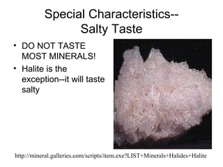 Special Characteristics--
                 Salty Taste
• DO NOT TASTE
  MOST MINERALS!
• Halite is the
  exception--it will taste
  salty




http://mineral.galleries.com/scripts/item.exe?LIST+Minerals+Halides+Halite
 