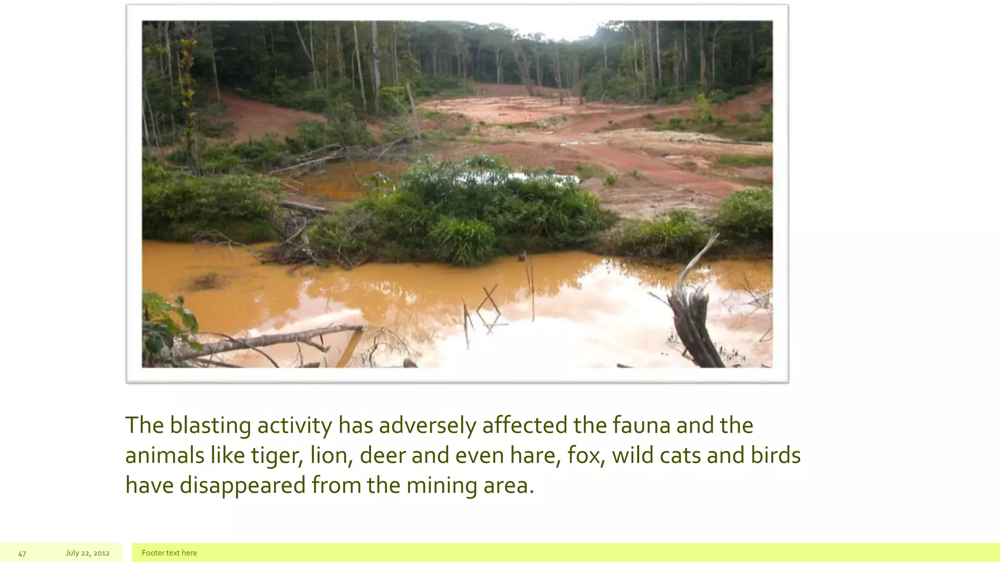 July 22, 2012 Footer text here47
The blasting activity has adversely affected the fauna and the
animals like tiger, lion, deer and even hare, fox, wild cats and birds
have disappeared from the mining area.
 