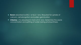 MINERAL-NUTRITION-12.pptx NCERT BOOK RELATED | PPTX