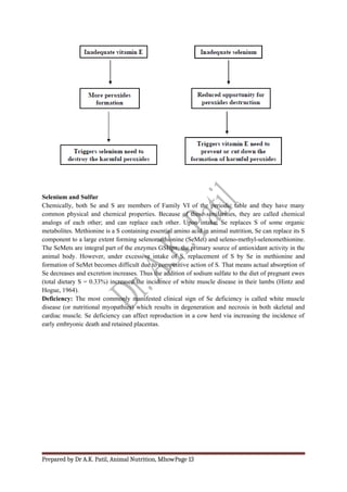 MINERAL1 IN ANIMAL NUTRITION ASHOK PATIL.docx