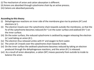 Mineral Absorption | PPTX