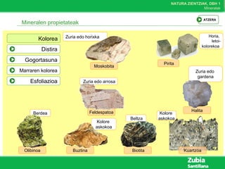 NATURA ZIENTZIAK, DBH 1
Mineralak
Mineralen propietateak
Feldespatoa
Zuria edo arrosa
Zuria edo horixka
Moskobita
Kolore
askokoa
Kuartzoa
Beltza
Zuria edo
gardena
Halita
BiotitaBuztina
Kolore
askokoa
Olibinoa
Berdea
Pirita
Horia,
letoi-
kolorekoa
Kolorea
Distira
Gogortasuna
Marraren kolorea
Esfoliazioa
ATZERA
 