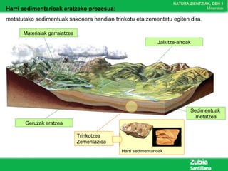 NATURA ZIENTZIAK, DBH 1
MineralakHarri sedimentarioak eratzeko prozesua:
metatutako sedimentuak sakonera handian trinkotu eta zementatu egiten dira.
Jalkitze-arroak
Geruzak eratzea
Materialak garraiatzea
Trinkotzea
Zementazioa
Harri sedimentarioak
Sedimentuak
metatzea
 