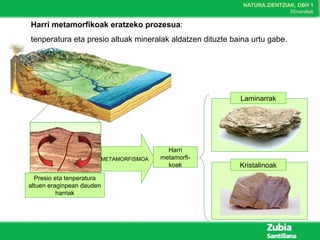NATURA ZIENTZIAK, DBH 1
Mineralak
Harri metamorfikoak eratzeko prozesua:
tenperatura eta presio altuak mineralak aldatzen dituzte baina urtu gabe.
Presio eta tenperatura
altuen eraginpean dauden
harriak
METAMORFISMOA
Harri
metamorfi-
koak
Laminarrak
Kristalinoak
 