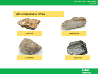 NATURA ZIENTZIAK, DBH 1
Mineralak
Harri sedimentario motak
Detritikoak
Kareharriak
Ebaporitikoak
Organikoak
 