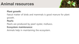 Animal resources
Plant growth:
Faecal matter of birds and mammals is good manure for plant
growth.
Pearls:
Pearls are produced by pearl oyster, molluscs.
Ecosystem maintenance:
Animals help in maintaining the ecosystem.
 