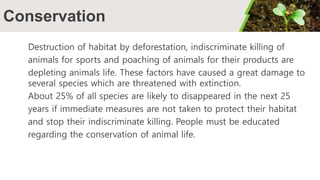 Conservation
Destruction of habitat by deforestation, indiscriminate killing of
animals for sports and poaching of animals for their products are
depleting animals life. These factors have caused a great damage to
several species which are threatened with extinction.
About 25% of all species are likely to disappeared in the next 25
years if immediate measures are not taken to protect their habitat
and stop their indiscriminate killing. People must be educated
regarding the conservation of animal life.
 