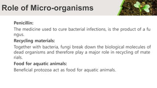Role of Micro-organisms
Penicillin:
The medicine used to cure bacterial infections, is the product of a fu
ngus.
Recycling materials:
Together with bacteria, fungi break down the biological molecules of
dead organisms and therefore play a major role in recycling of mate
rials.
Food for aquatic animals:
Beneficial protozoa act as food for aquatic animals.
 