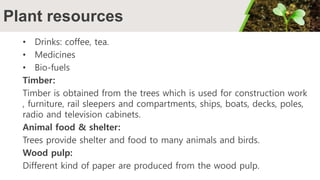 Plant resources
• Drinks: coffee, tea.
• Medicines
• Bio-fuels
Timber:
Timber is obtained from the trees which is used for construction work
, furniture, rail sleepers and compartments, ships, boats, decks, poles,
radio and television cabinets.
Animal food & shelter:
Trees provide shelter and food to many animals and birds.
Wood pulp:
Different kind of paper are produced from the wood pulp.
 