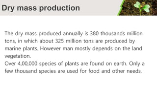 Dry mass production
The dry mass produced annually is 380 thousands million
tons, in which about 325 million tons are produced by
marine plants. However man mostly depends on the land
vegetation.
Over 4,00,000 species of plants are found on earth. Only a
few thousand species are used for food and other needs.
 