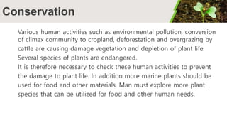 Conservation
Various human activities such as environmental pollution, conversion
of climax community to cropland, deforestation and overgrazing by
cattle are causing damage vegetation and depletion of plant life.
Several species of plants are endangered.
It is therefore necessary to check these human activities to prevent
the damage to plant life. In addition more marine plants should be
used for food and other materials. Man must explore more plant
species that can be utilized for food and other human needs.
 