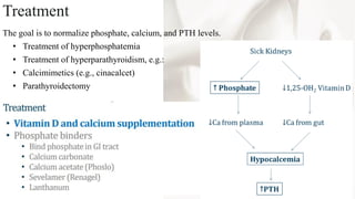 Mineral and Bone Disorder in Chronic Kidney Disease O-H.pdf