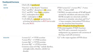 Mineral and Bone Disorder in Chronic Kidney Disease O-H.pdf