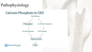 Mineral and Bone Disorder in Chronic Kidney Disease O-H.pdf