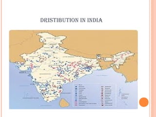 DRISTIBUTION IN INDIA

 
