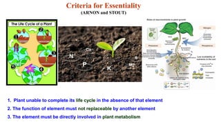 Mineral and theories | PPT