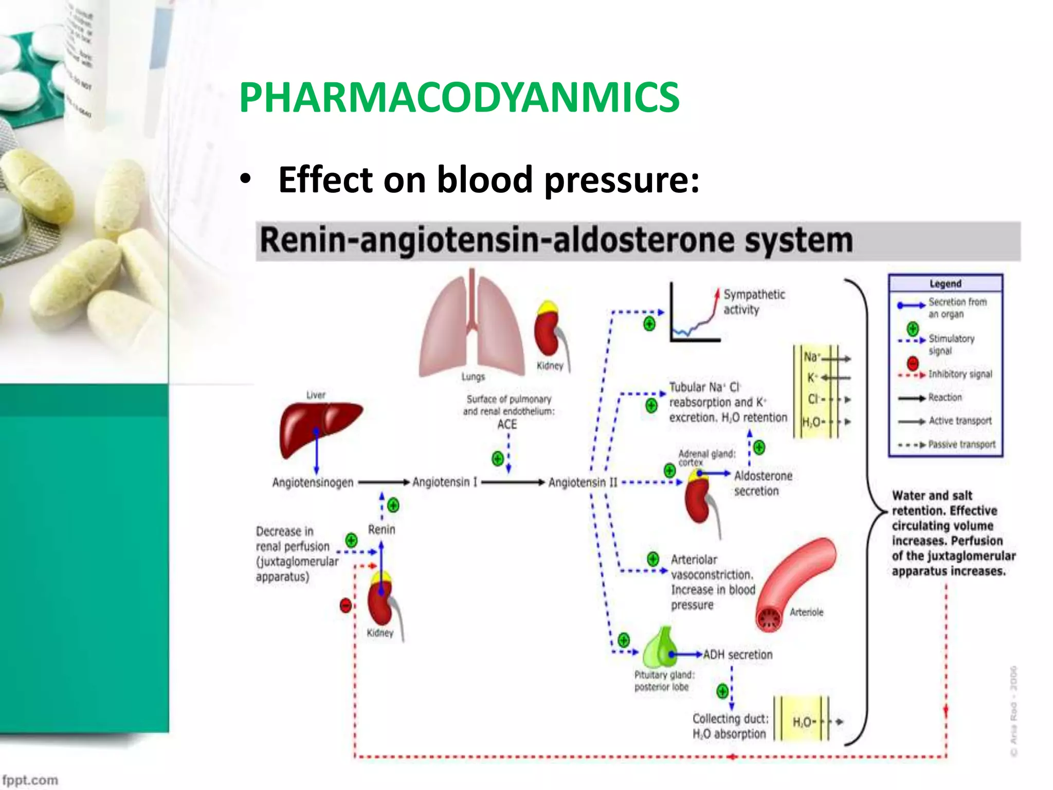 PHARMACODYANMICS
• Effect on blood pressure:
 