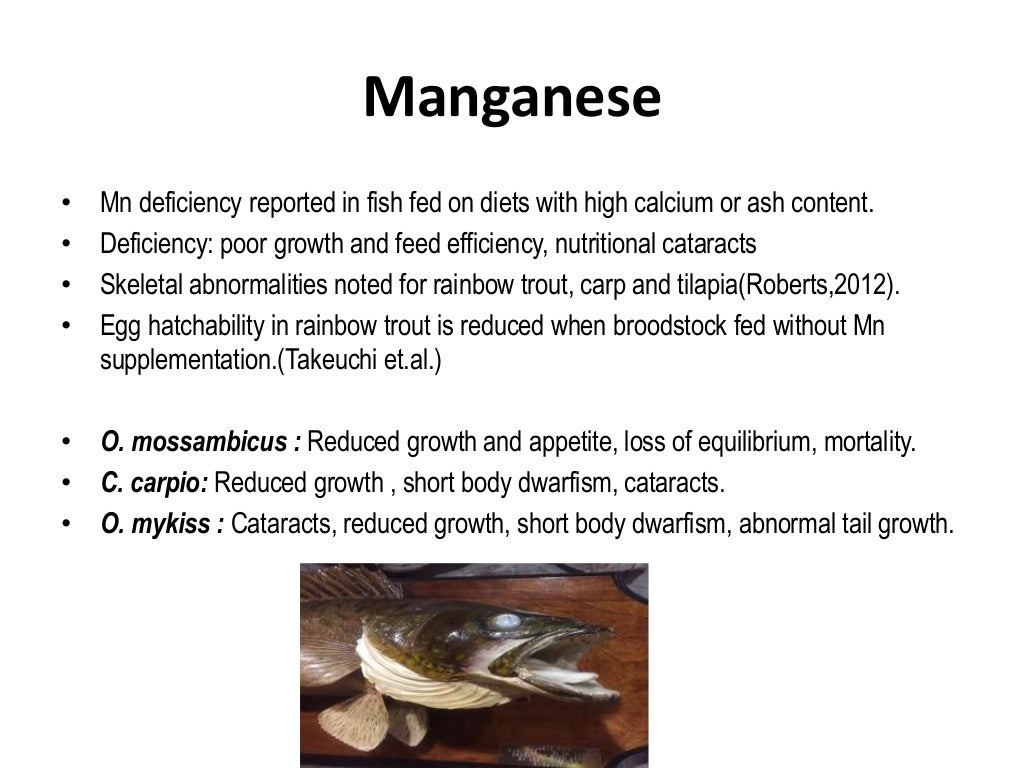 Mineral deficiency and toxicity in fish
