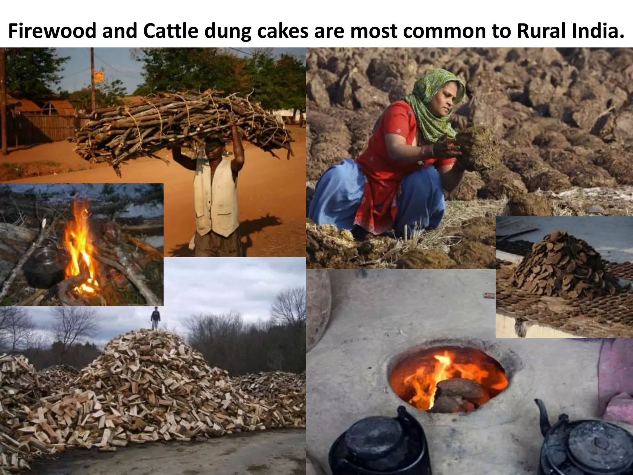 Firewood and Cattle dung cakes are most common to Rural India.
 