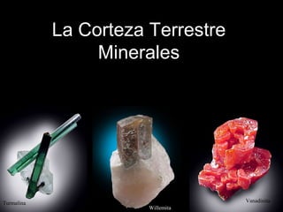 La Corteza Terrestre
Minerales
Turmalina
Willemita
Vanadinita
1
 