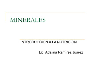 MINERALES INTRODUCCION A LA NUTRICION Lic. Adalina Ramírez Juárez  