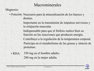 Macrominerales
Magnesio:
  • Función: Necesario para la mineralización de los huesos y
             dientes.
             Importante en la transmisión de impulsos nerviosos y
             la relajación muscular.
             Indispensable para que el fósforo realice bien su
             función en las reacciones que producen energía.
             Contribuye a la regulación de la temperatura corporal.
             Participa en el metabolismo de las grasas y síntesis de
             proteínas.

          • RDA:                      350 mg en el hombre adulto.
                                      280 mg en la mujer adulta.

 FACSA / Medicina / Bioquímica / Minerales           Dr. Alejandro Gil
 