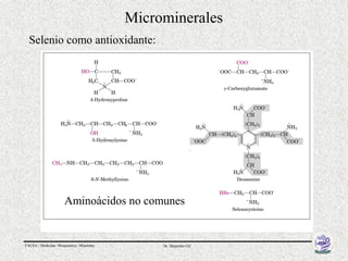 Microminerales
  Selenio como antioxidante:




                       Aminoácidos no comunes


FACSA / Medicina / Bioquímica / Minerales        Dr. Alejandro Gil
 