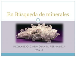En Búsqueda de minerales




  P IC H A R D O C A R M O N A B . F E R N A N D A
                      239 A
 